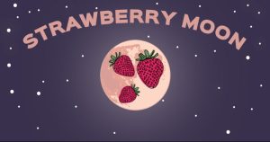 Strawberry Moon Celebration - Photo Credit: Pineland Farm