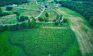 2 Hour Farm Pass w/ Corn Maze - Photo Credit: Chris May