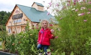 Family Farmyard Fun - Photo Credit: Pineland Farms