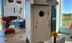 Family Birdhouse Making - Photo Credit: CMTM