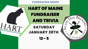 IDB Fundraisers: HART of Maine - Photo Credit: Island Dog Brewing