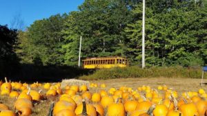 Pumpkin Patch Trolley - Photo Credit: Seashore Trolley Museum