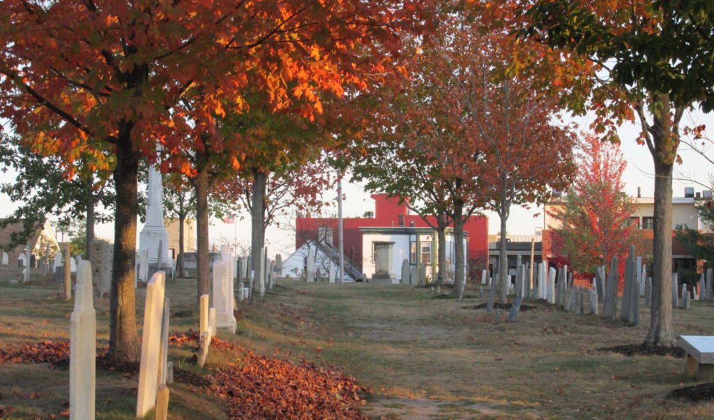 Haunting Eastern Cemetery - Photo Credit: Photo by Janet Alexander, Spirits Alive - Funeral Lane Eastern Cemetery taken 09 Oct 2020 - Photo Credit: Spirits Alive