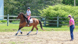 Dressage, Para-Dressage Series - Photo Credit: Carlisle Academy