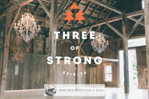 Cocktail Demonstration and Tasting - Photo Credit: Three of Strong Spirits