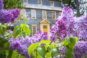 Plant and Herb Sale - Photo Credit: Tate House Museum