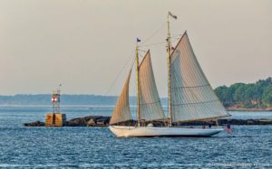 Photography Sail - Photo Credit: Michael Leonard