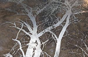 Acid + Fire | Mike & Liz Marks - Photo Credit: Photo: Mike Marks