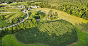 Corn Maze - Photo Credit: Chris May