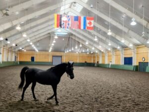 Afternoon at Equestrian Center - Photo Courtesy of Pineland Farms