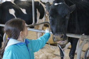 Butter Making - Photo Courtesy of Pineland Farms