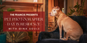 Pet Photographer Day - Photo Credit: Gina Soule