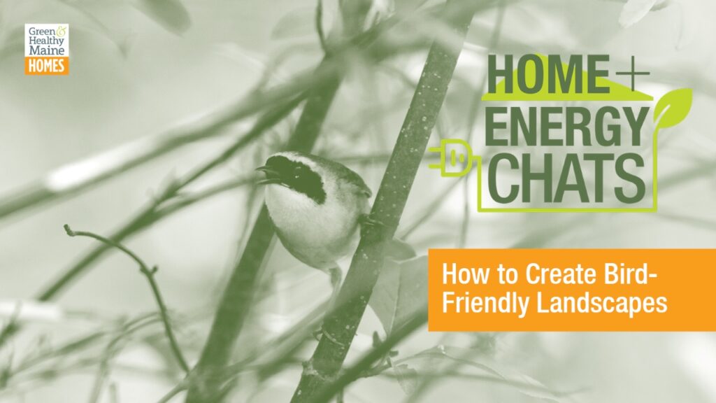 Bird Friendly Landscapes - Photo Credit: Maine Audubon