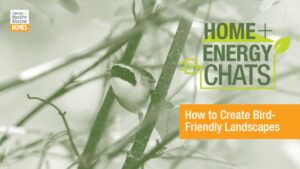 Bird Friendly Landscapes - Photo Credit: Maine Audubon