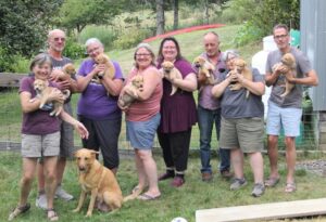 Meet the Chinook Breed - Photo Credit: Photo by Penthea Burns