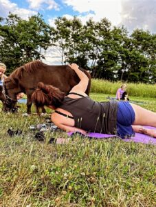 Mini Horse Yoga - Photo Provided by Ashley Flowers Yoga