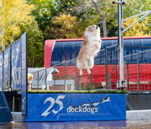 Ruff Mountain - Photo Credit: Sunday River