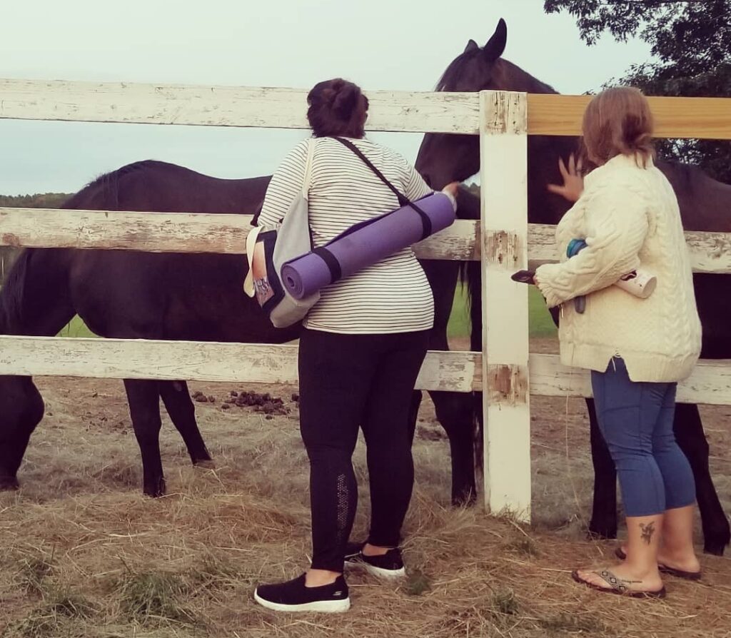 Horse Yoga at the MSSPA - Photo Credit: Ashley Flowers Yoga Horse Yoga at the MSSPA - Photo Credit: Ashley Flowers Yoga