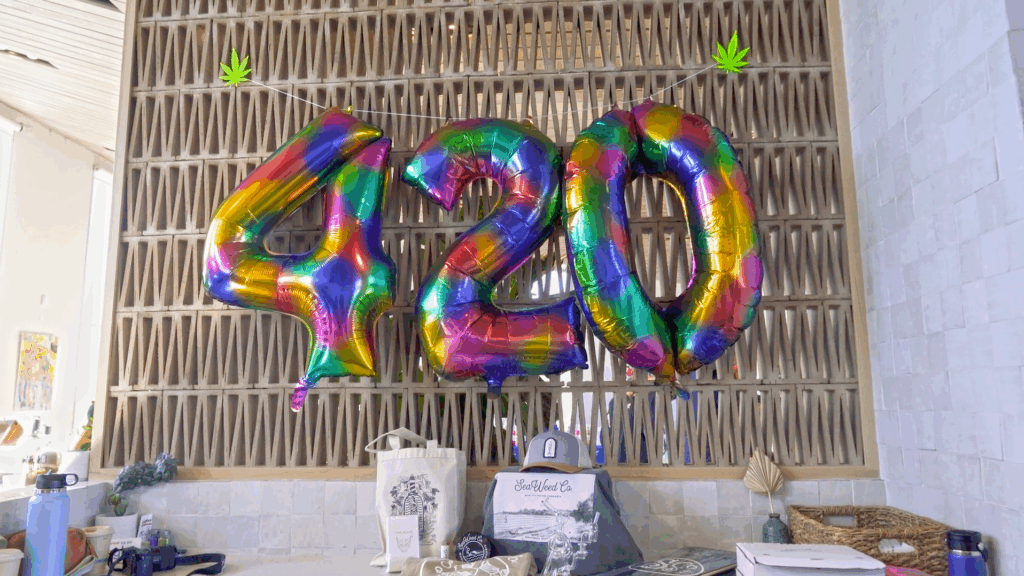 A 420 Celebration! - Photo Credit: Seaweed Co.