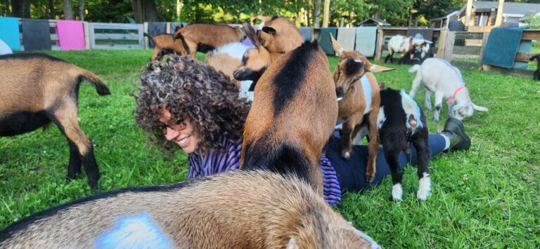 Goat Yoga ⟐ 2026 - Photo Credit: Ashley Flowers
