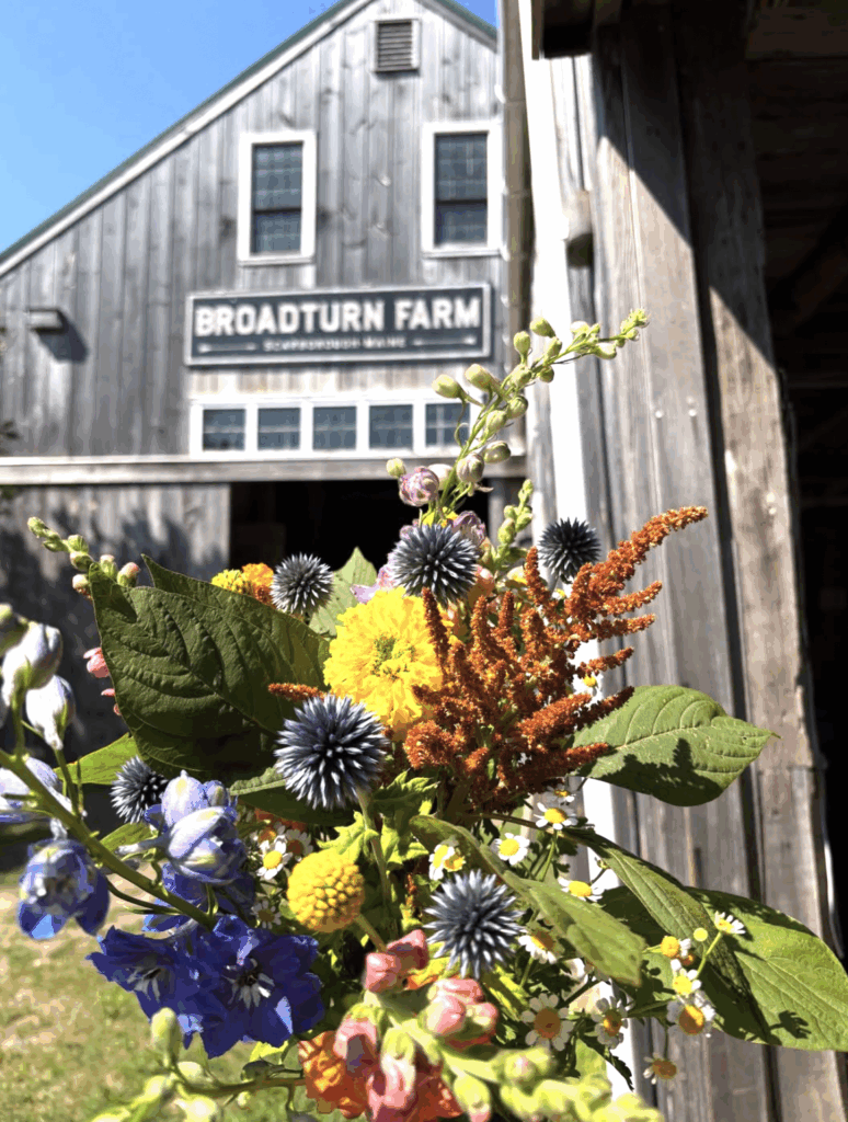 Flow at the Farm - Photo Credit: Broadturn Farm