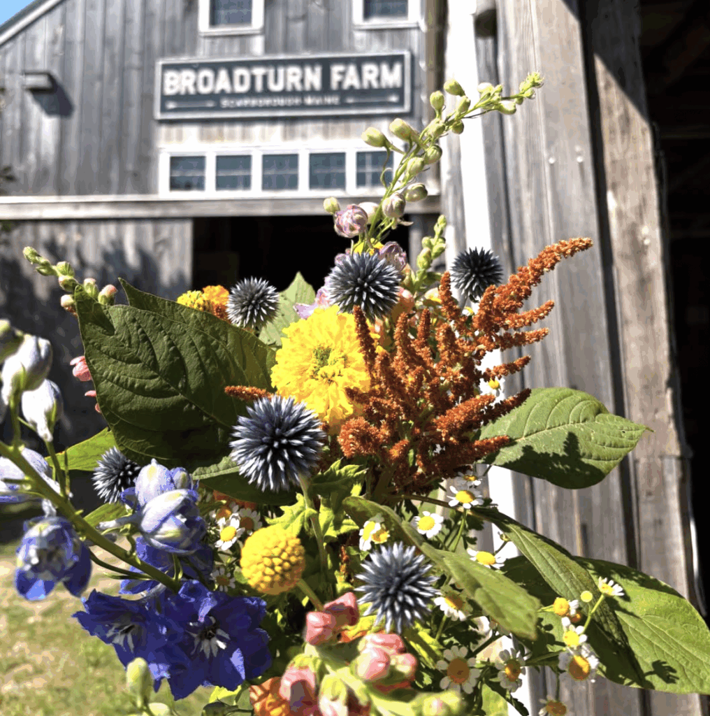 Flow at the Farm - Photo Credit: Broadturn Farm