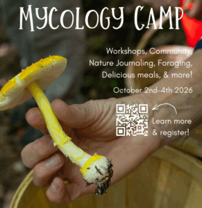 Mycology Camp - Photo Credit: Photo Courtesy of The Ecology School