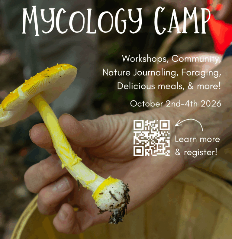 Mycology Camp - Photo Credit: Photo Courtesy of The Ecology School