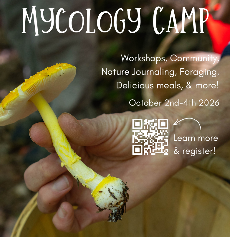 Mycology Camp - Photo Credit: Photo Courtesy of The Ecology School